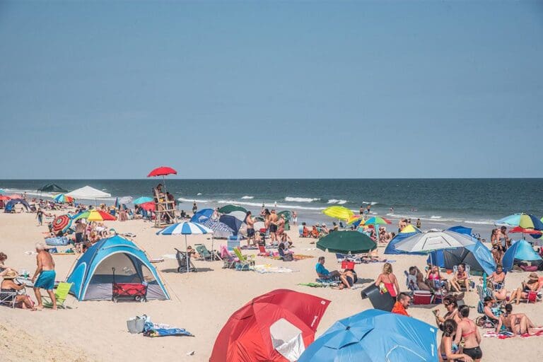Assateague State Park in Berlin, Maryland