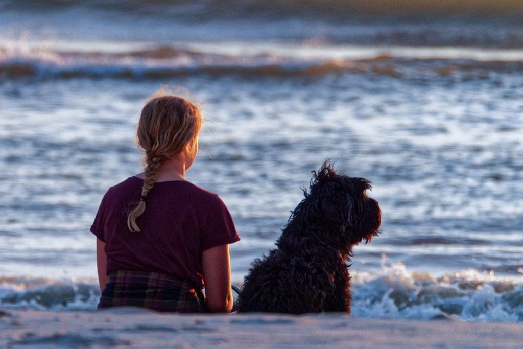 Pet-friendly places in Ocean City
