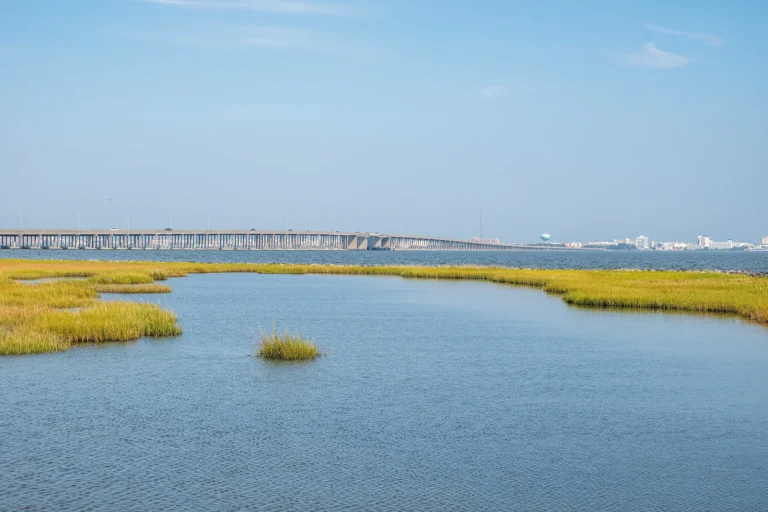 Isle of Wight Nature Park